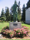 Morgan Horse Statue in Santa Clara, CA